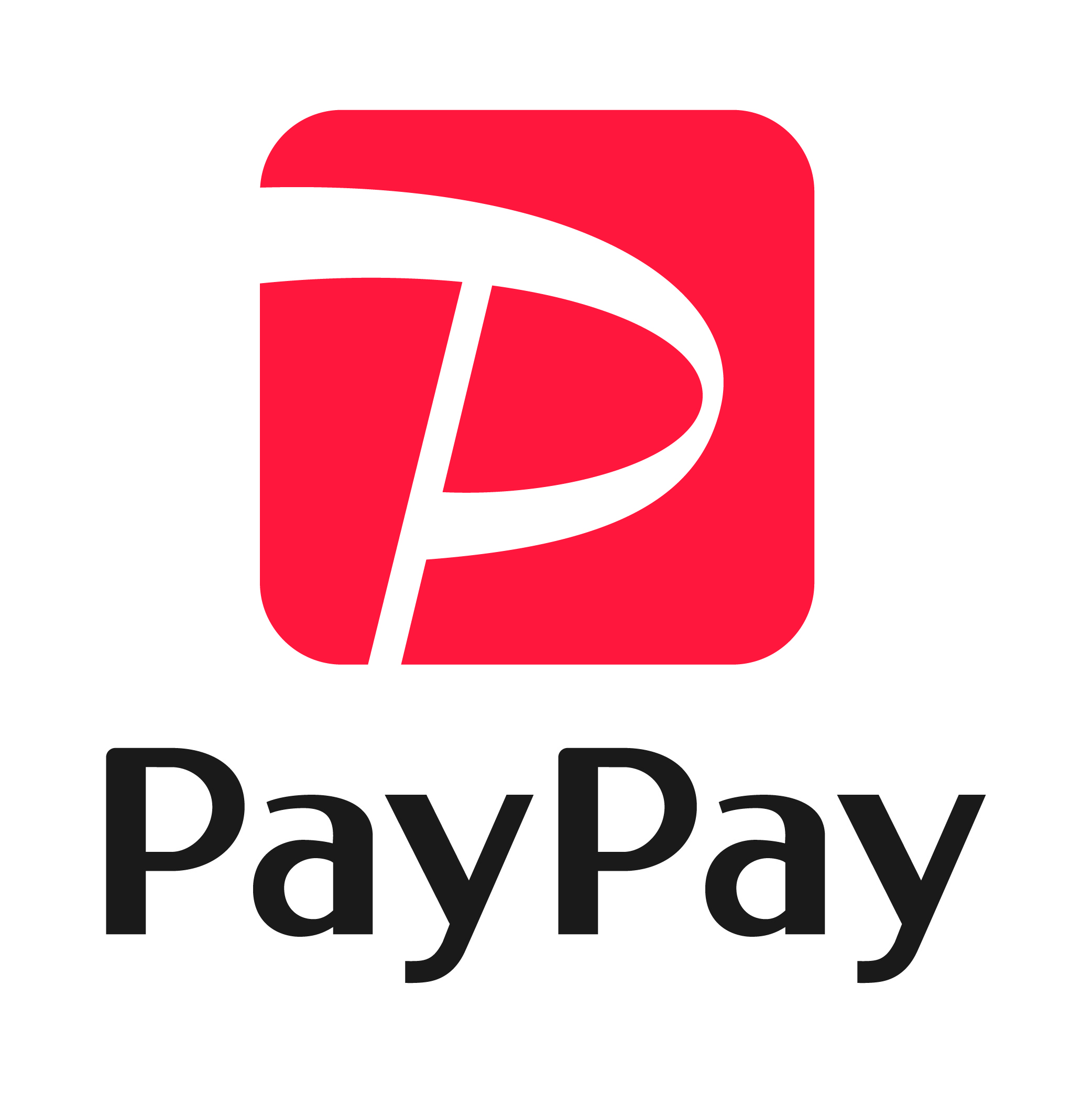 01_pay pay